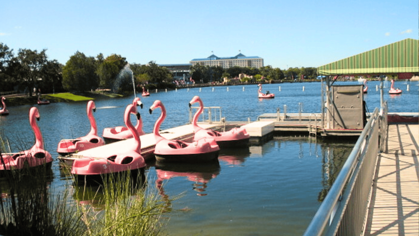 Flamingo Paddle Boats no SeaWorld Orlando