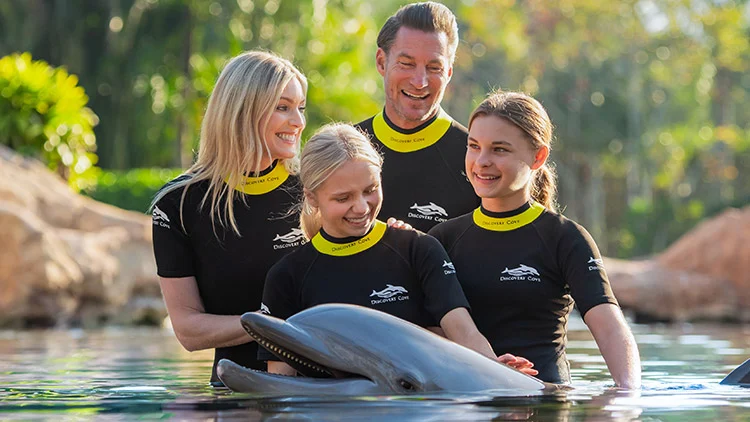 Parque Discovery Cove em Orlando: nado com golfinho