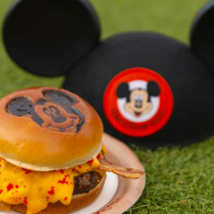 Lanches para os parques da Disney: o que pode levar?