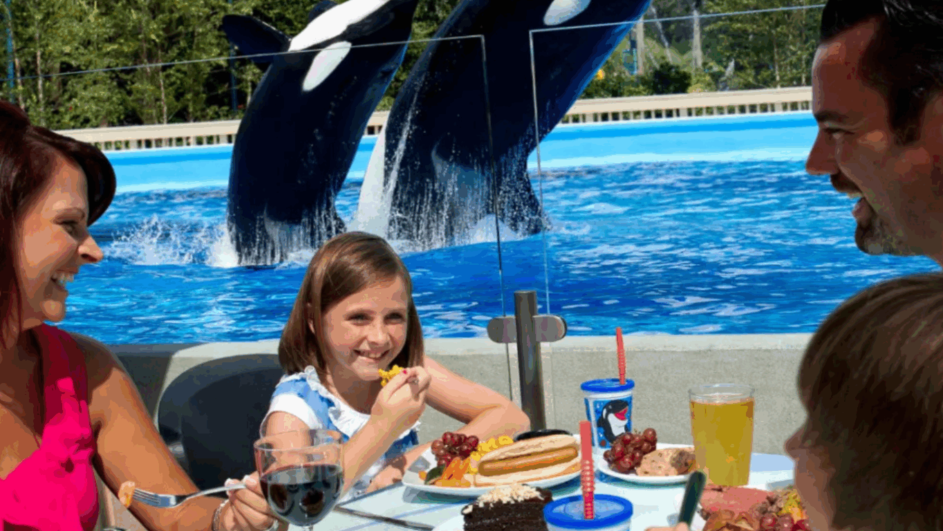 Refeição com baleias orcas no parque SeaWorld