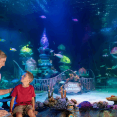 Sea Life Aquarium em Orlando