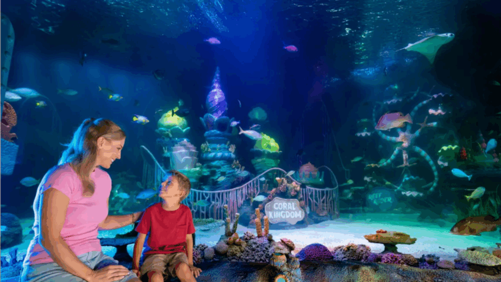 Sea Life Aquarium em Orlando Sea Life Aquarium em Orlando