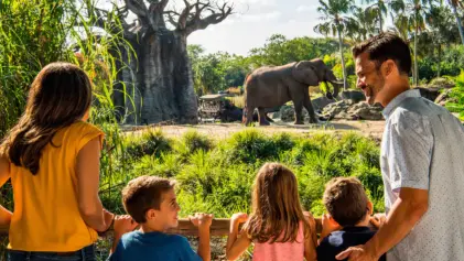 Caring for Giants no Animal Kingdom