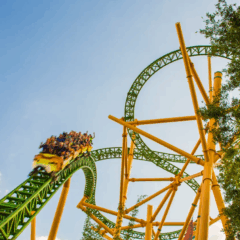 10 dicas essenciais do Parque Busch Gardens