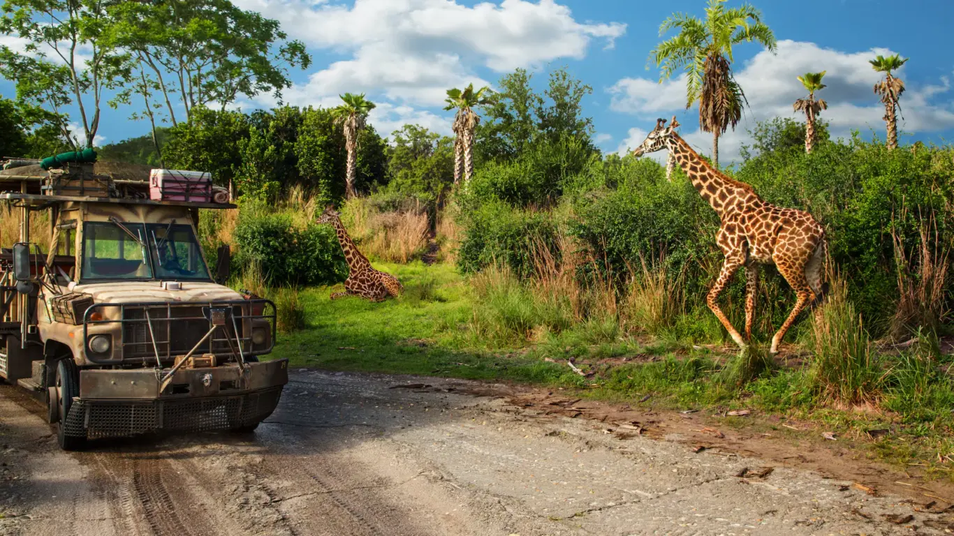 Kilimanjaro Safaris no Animal Kingdom Kilimanjaro Safaris no Animal Kingdom